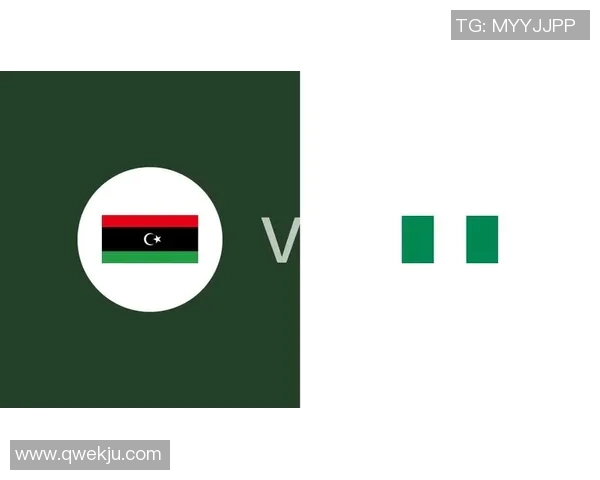 利比亚对阵尼日利亚精彩直播全程回顾与赛后分析